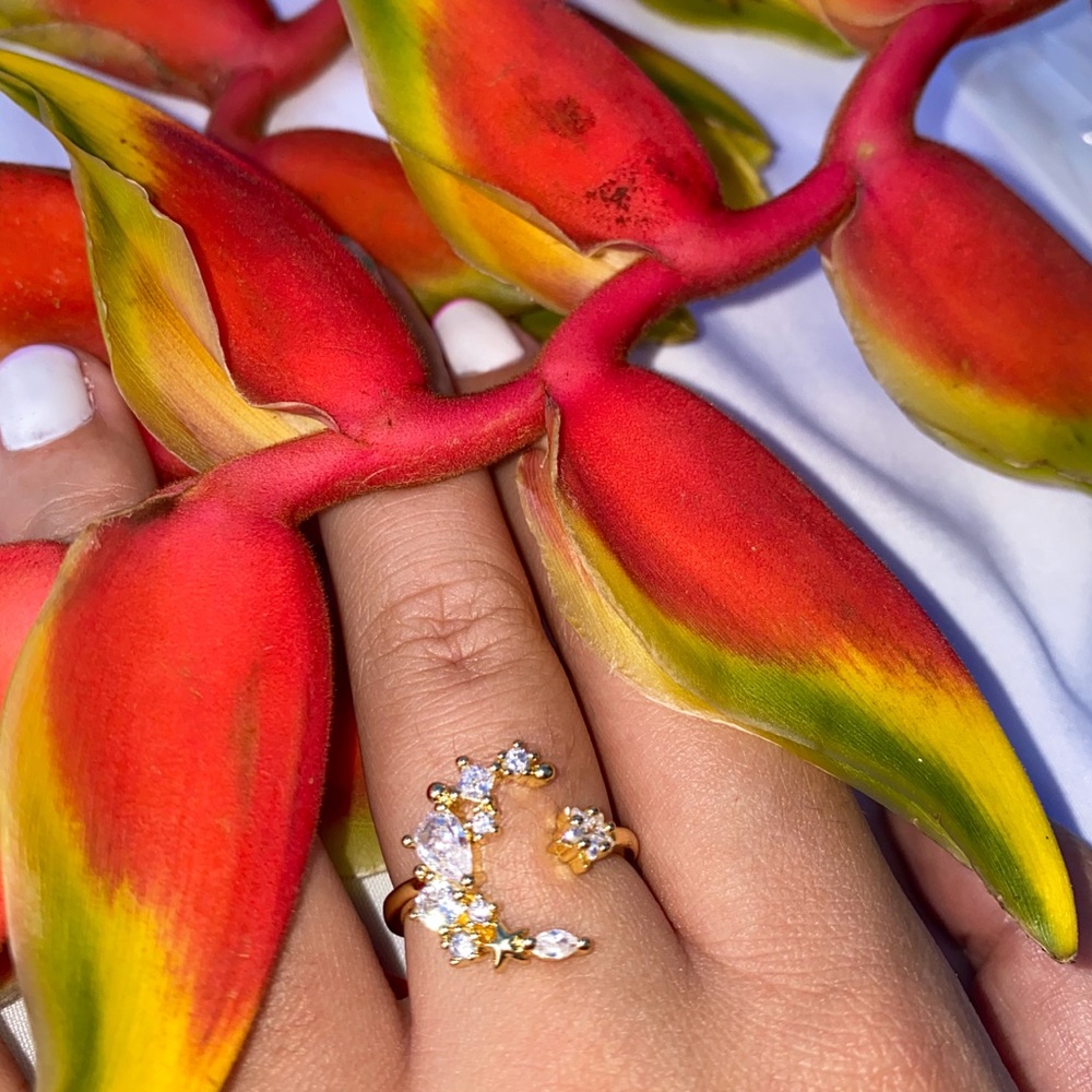 Moon shine adjustable ring